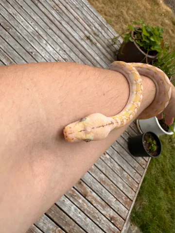 Animal from Fuller Exotics's public collection